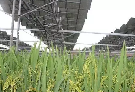 夏季能提高光伏電站發(fā)電量不假，但也會降低發(fā)電量！用戶該怎么辦？